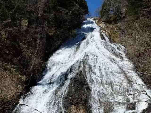 沙漠中寻宝